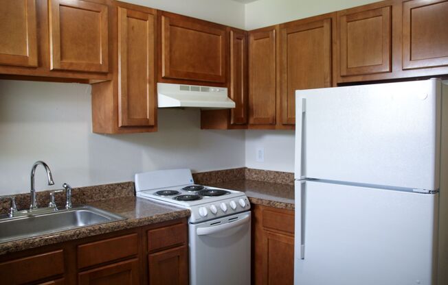Spacious 1 bedroom apartments!