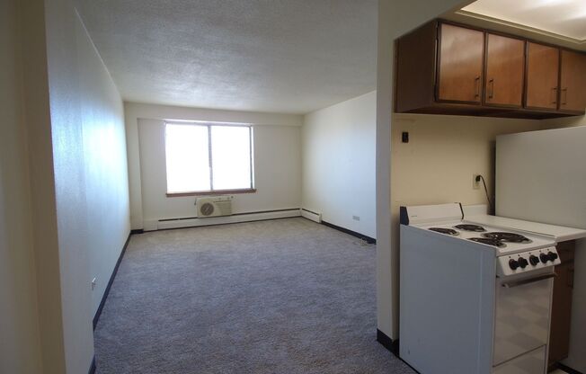 1 bed, 1 bath, 620 sqft, $1,090, Unit 507