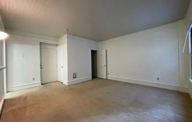 Studio, 1 bath, 464 sqft, $1,150, Unit 119