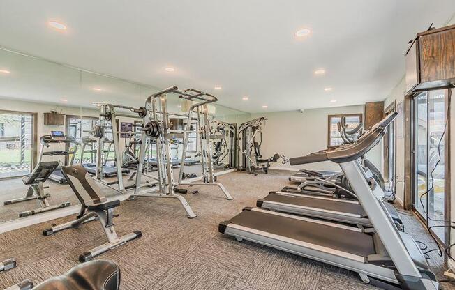 the gym is equipped with a variety of exercise equipment