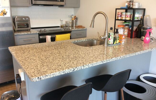 Studio, 1 bath, 575 sqft, $1,425, Unit Unit 407