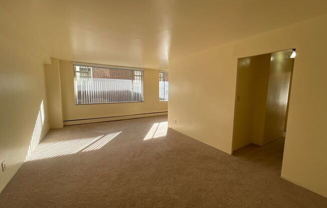 1 bed, 1 bath, 605 sqft, $995, Unit 410