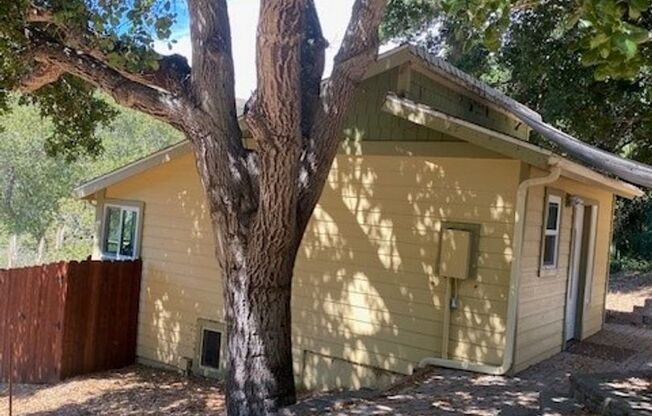 1 bed, 1 bath, $1,800