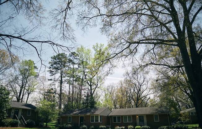 Lush Landscaping at Glen Lennox Apartments, Chapel Hill, 27514