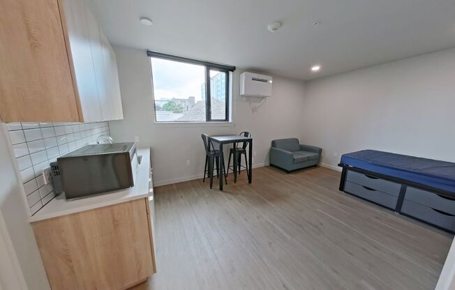 Studio, 1 bath, 329 sqft, $1,175, Unit 204