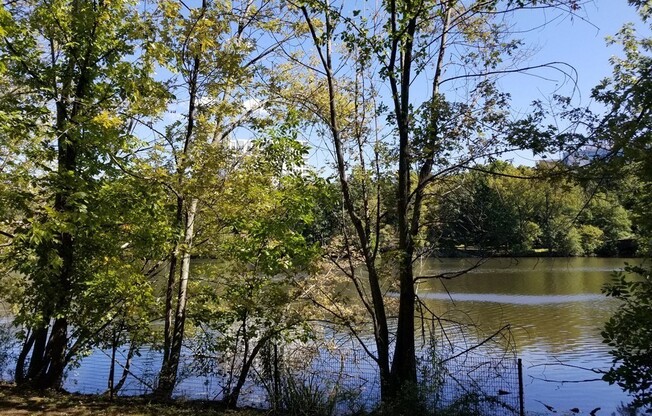 1 bed, 1 bath, 850 sqft, $3,000, Unit 722