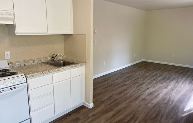 1 bed, 1 bath, 410 sqft, $1,450, Unit 311