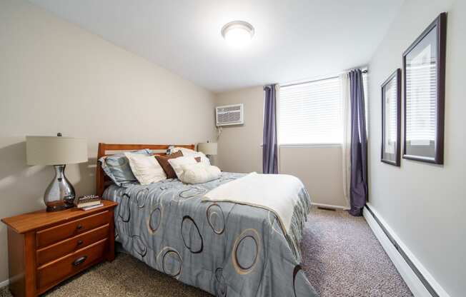 Bedroom with plush carpeting, bed with blue bedding, and wooded nightstand with lamp on top.