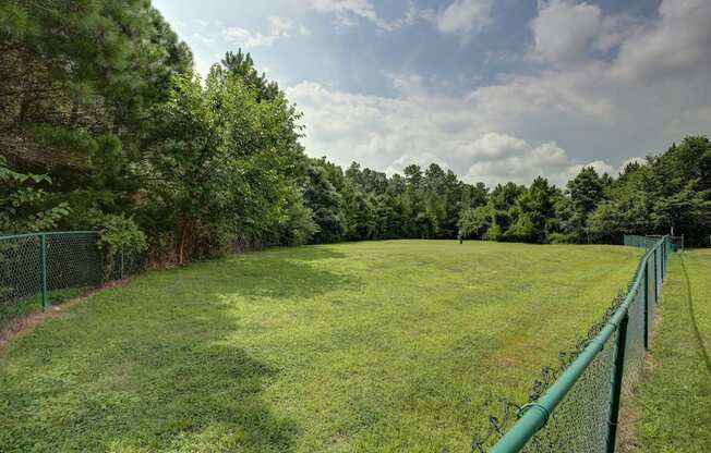 A green fenced field with trees in the background.