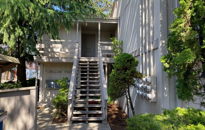 Willow Tree Apartments