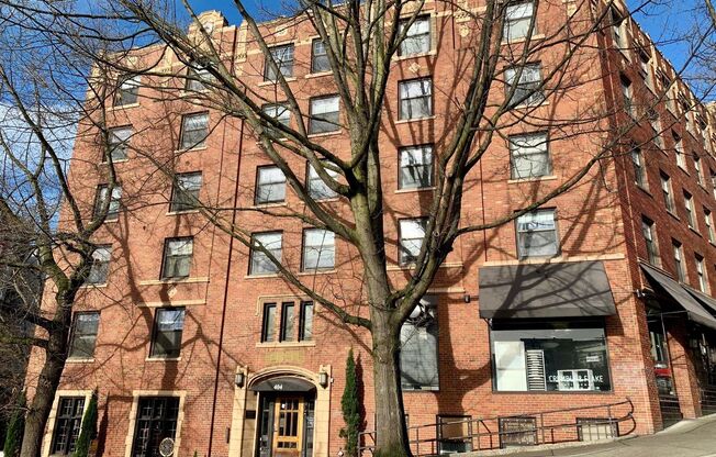 1 bed, 1 bath, 351 sqft, $1,295, Unit 505