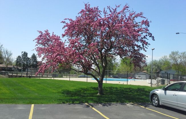 2 beds, 1 bath, 850 sqft, $1,169, Unit 7920 - 4