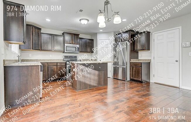 974 DIAMOND RIM DR