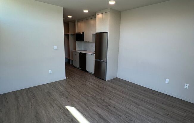 Studio, 1 bath, 295 sqft, $1,495, Unit 702