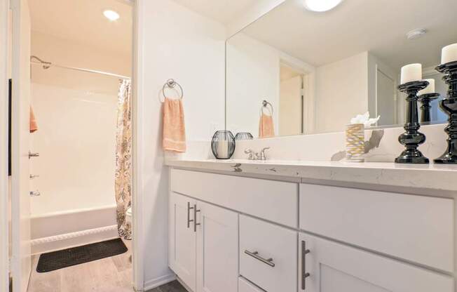 A bathroom with a white vanity and a shower with a curtain.