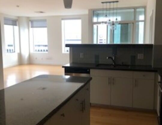 2 beds, 2 baths, 1,300 sqft, $3,800, Unit 1405