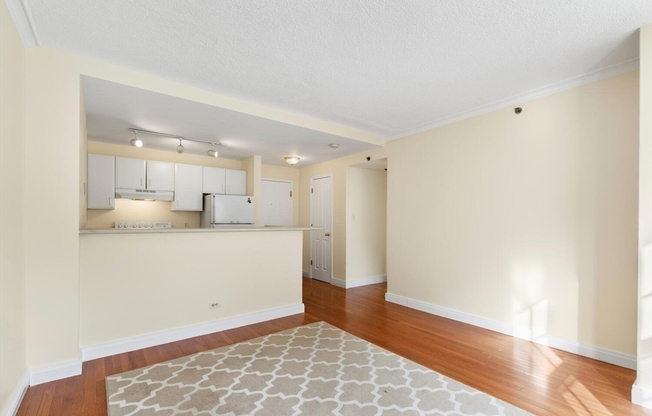 1 bed, 1 bath, 513 sqft, $3,200, Unit 302