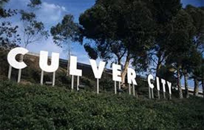 Studio View Apartment Homes