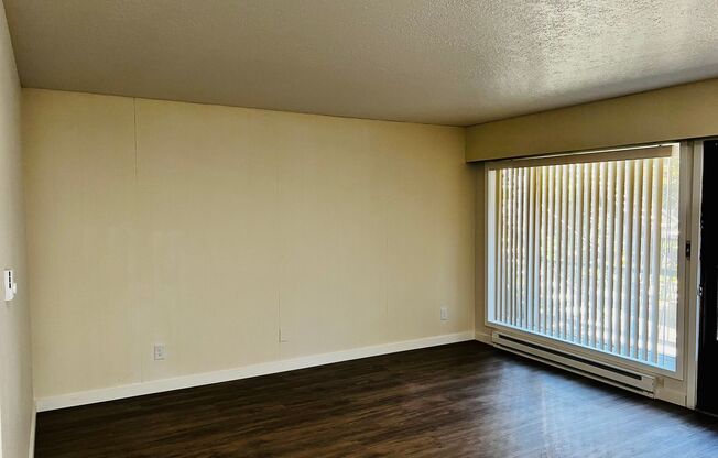 1 bed, 1 bath, 500 sqft, $1,295, Unit 2W