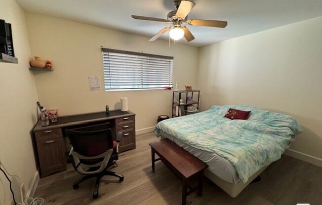 1 bed, 1 bath, 546 sqft, $2,600, Unit 541