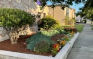 Duchess Apartments