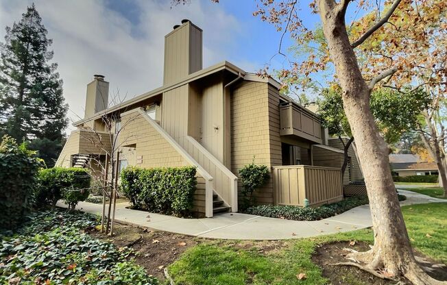 1 Bed/1 Bath Updated Condo with Great Amenities in Blossom Valley