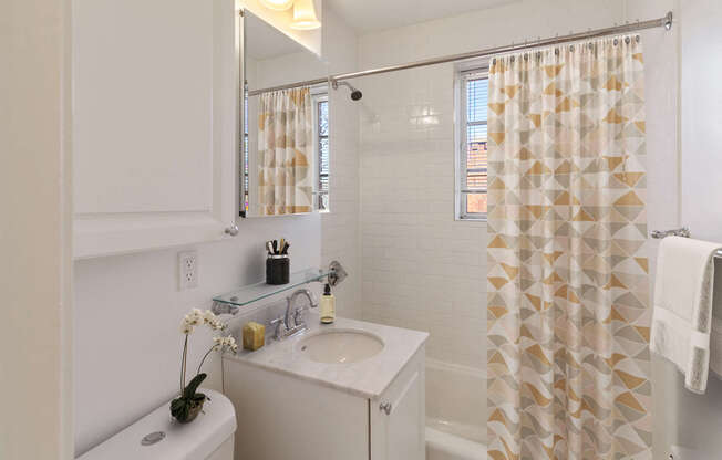 1 bed, 1 bath, 601 sqft, $3,180