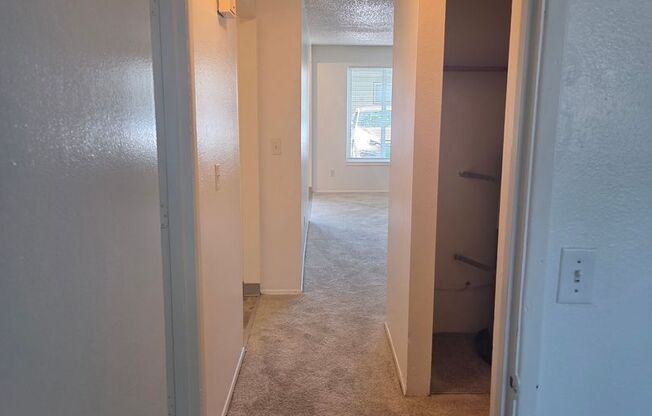 2 beds, 1 bath, 1,000 sqft, $1,400, Unit 37