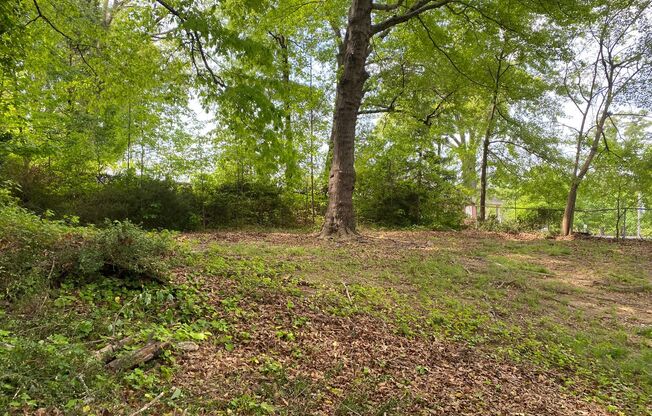 Quaint three bedroom, two bath all electric home available in beautiful Gastonia, NC!