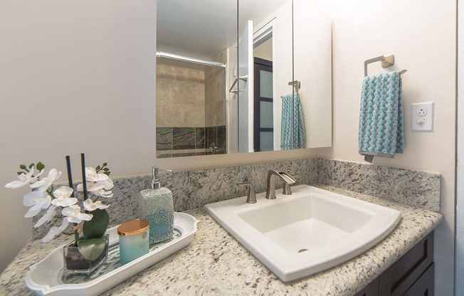 Waikiki Walina Apartments bathroom sink and vanity