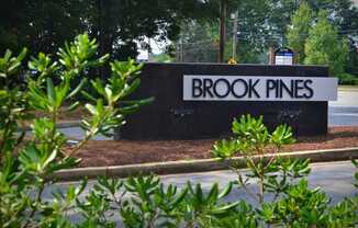 Brook Pines