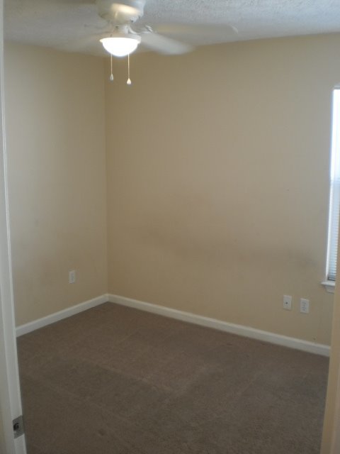 3 beds, 2 baths, $2,100