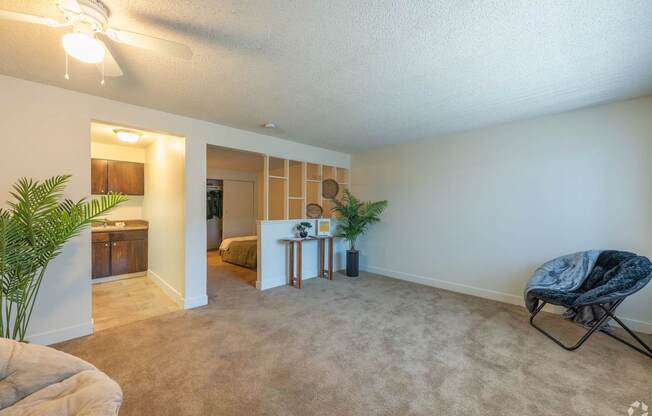 Living room with a ceiling fan and plant.