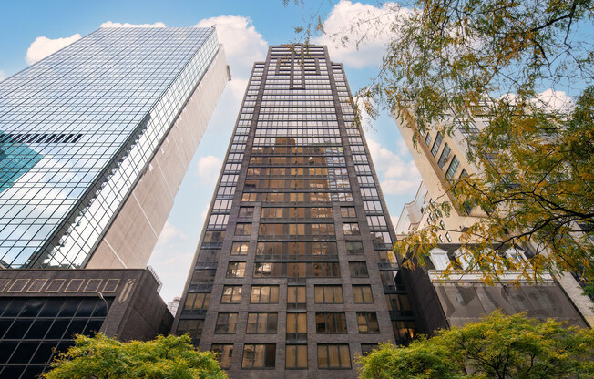 1 bed, 1 bath, $5,895, Unit 9A