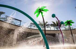 A water fountain with a green palm tree in the background.
