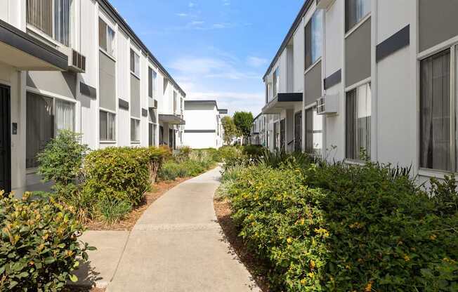 A row of white houses with a concrete pathway in the middle.