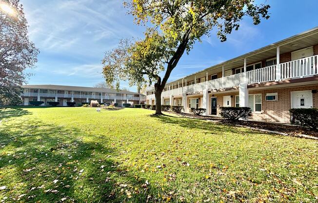 A tree in front of apartment buildings.