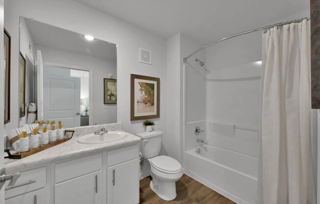 Discover the elegance of modern living at Esperanza at Wild Orchid. This beautifully designed bathroom features sleek finishes and ample space for your comfort. Experience relaxation at its finest. Schedule your tour today!