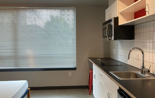 Studio, 1 bath, 233 sqft, $1,125, Unit 508