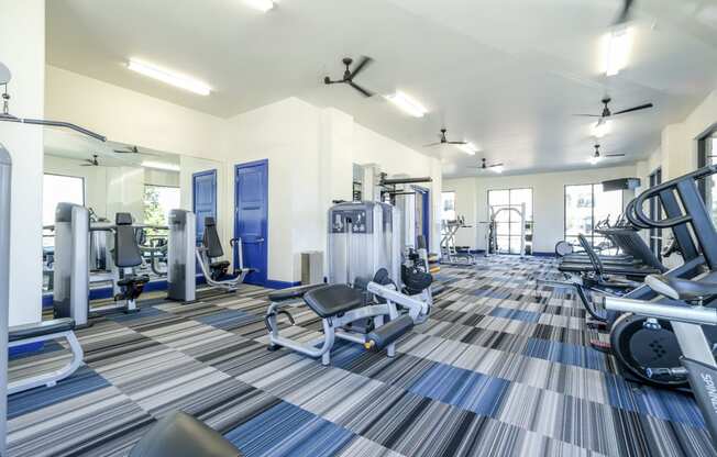 fitness center Reveal on the Lake apartments