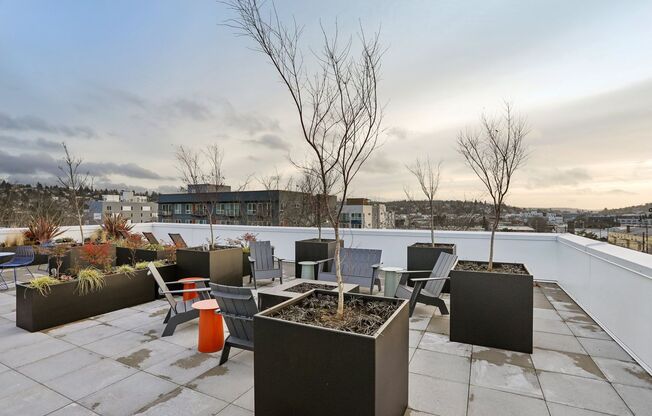 Studio, 1 bath, 287 sqft, $1,500, Unit 315