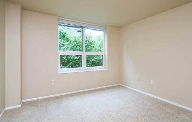 Carpeted Bedroom