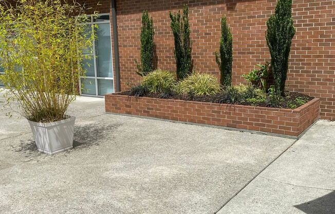 Studio, 1 bath, 462 sqft, $1,250, Unit 305
