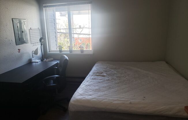 3 beds, 1.5 baths, $2,795, Unit 9