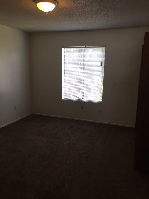 3 beds, 2 baths, $1,595