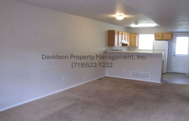 Great 3 Bedroom Condo the Briargate Area
