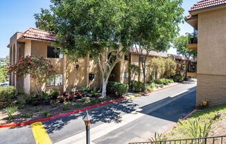 Sierra Vista 55+ Community