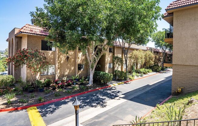 Sierra Vista 55+ Community