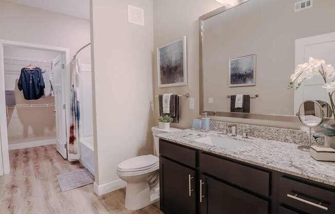 Hall bathroom with tub and bathroom cabinet and attached walk-in closet.
