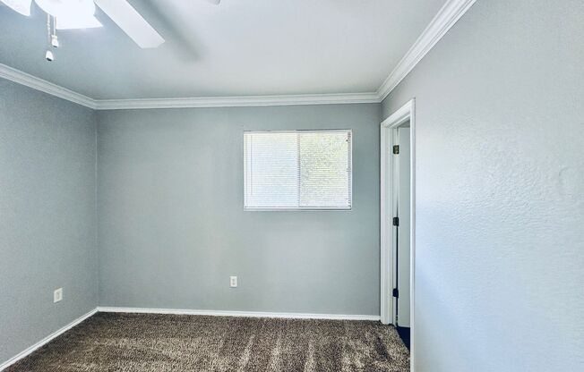 Studio, 1 bath, 500 sqft, $750, Unit 208